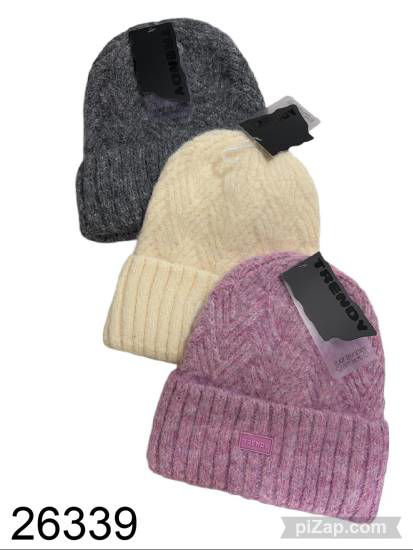 Imagen de GORRO DE LANA TRENDY  6.26